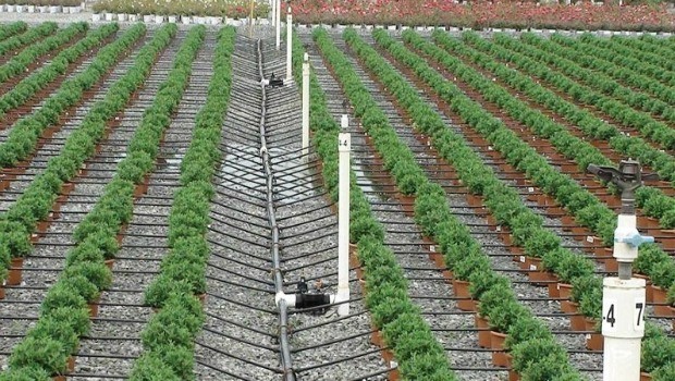 Use drip irrigation systems within the garden download