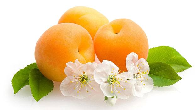 Healthiest Foods For Losing Weight - Apricots