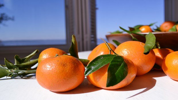 foods for sex-citrus fruits