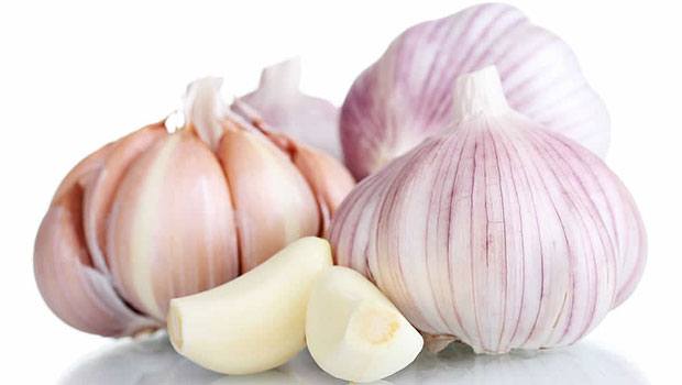 Garlic - Healthiest Foods For Losing Weight
