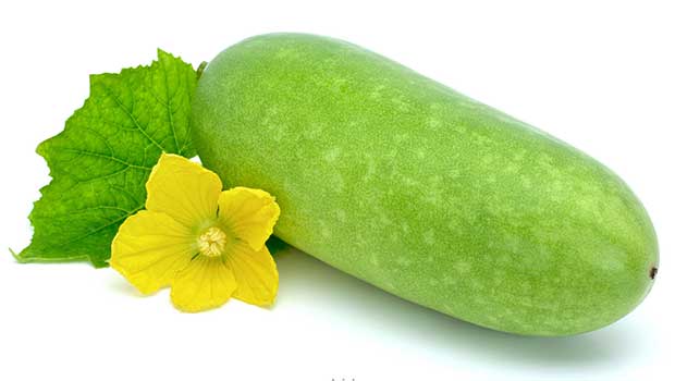 Squash - Healthiest Foods For Losing Weight