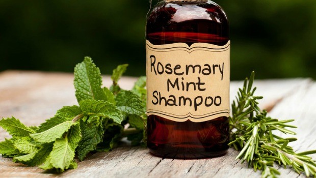 homemade herbal shampoo download