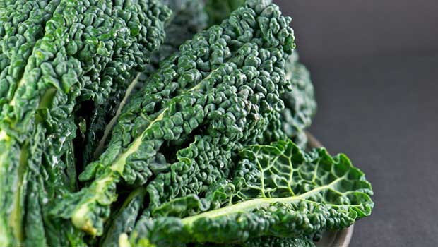 Kale - Healthiest Foods For Losing Weight