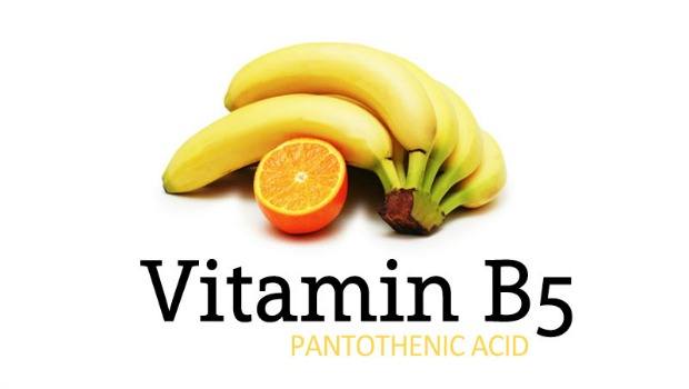 pantothenic acid or vitamin b5 download