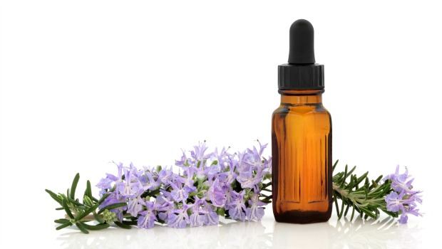 essential oil of rosemary leaves download