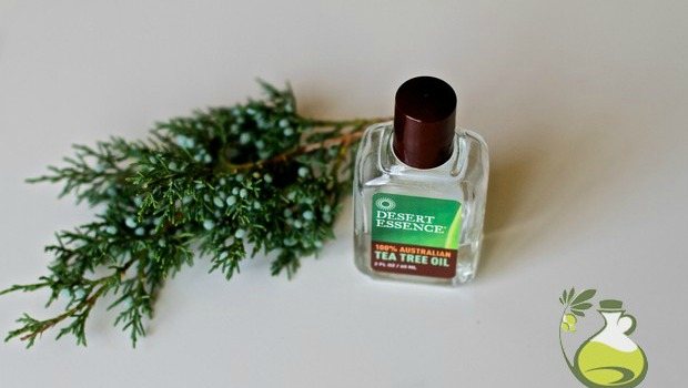 how to use tea tree oil as an antiseptic download