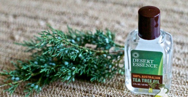 how to use tea tree oil