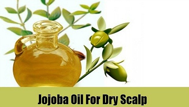 jojoba for a moisturized scalp