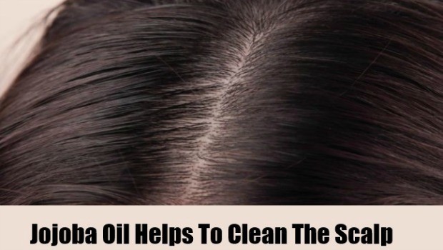 jojoba oil for a clean scalp download