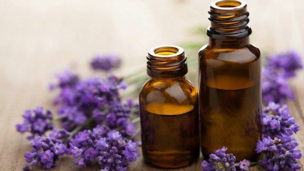 lavender essential oil download