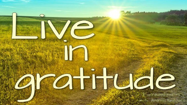 live with gratitude