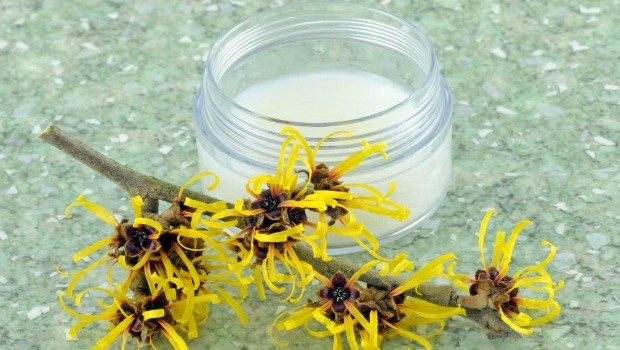 magical witch hazel for removing excess oil from face download