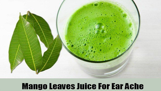 mango leaf juice
