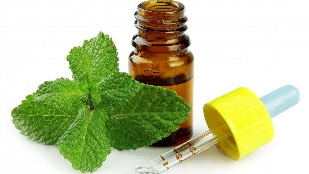 mint leaf essential oil download