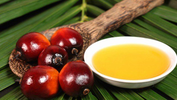 palm essential oil