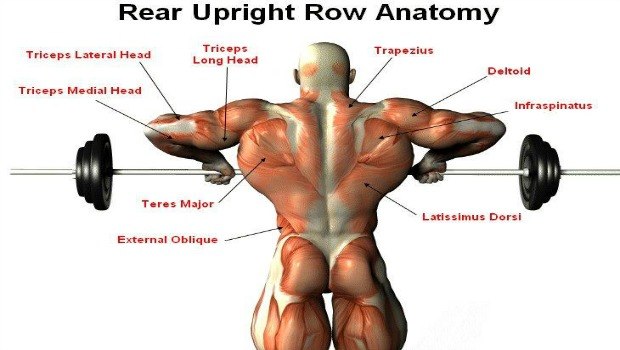 practice upright row free download