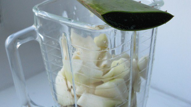 use garlic with aloe vera gel or water