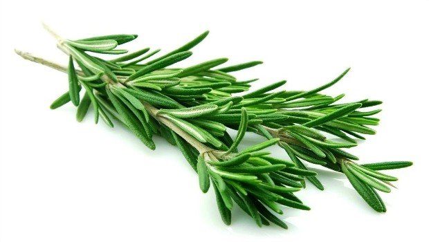 Rosemary