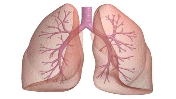 adamame is good for lung function download