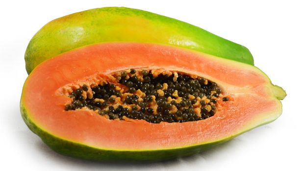 apply papaya download