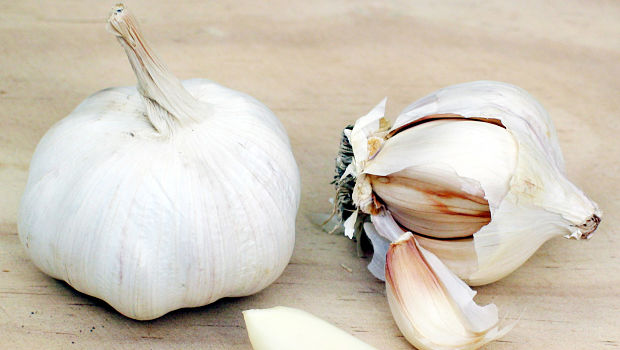 consider garlic download