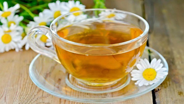 drinking a cup of chamomile tea download