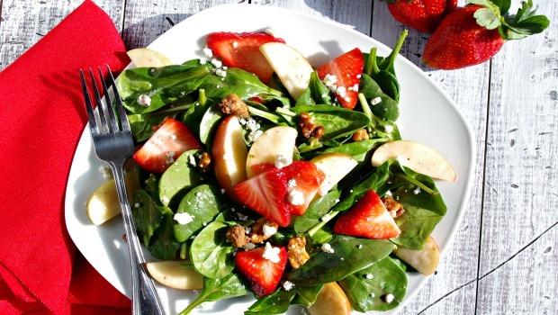 easy healthy salad recipes download