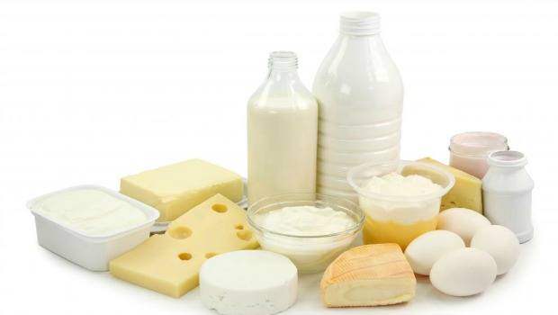 eggs and dairy products download