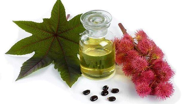 benefits of castor oil