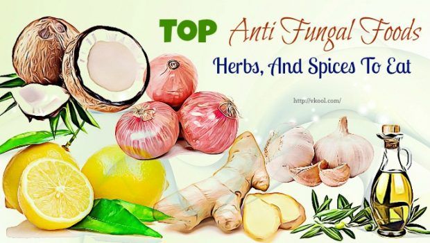 dnti fungal foods and herbs