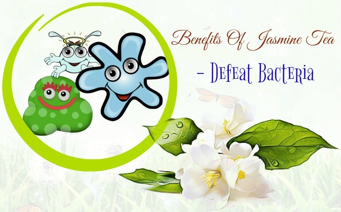 benefits of jasmine tea - defeat bacteria
