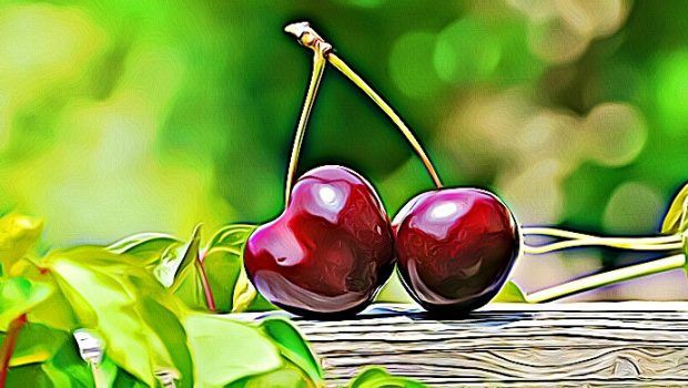 benefits of cherry