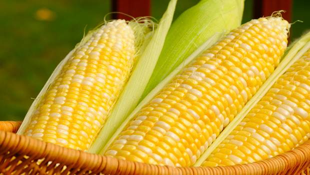 chemlab 13 determine pressure in popcorn kernels answers