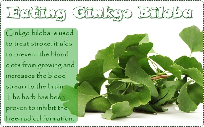 how to treat stroke - eating ginkgo biloba