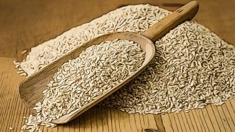 benefits of sesame seeds for everyone