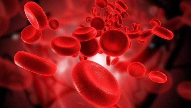 how to increase hemoglobin level 