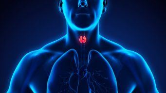 home remedies for hypothyroidism