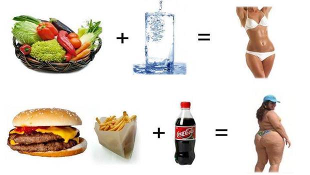 fast food and obesity