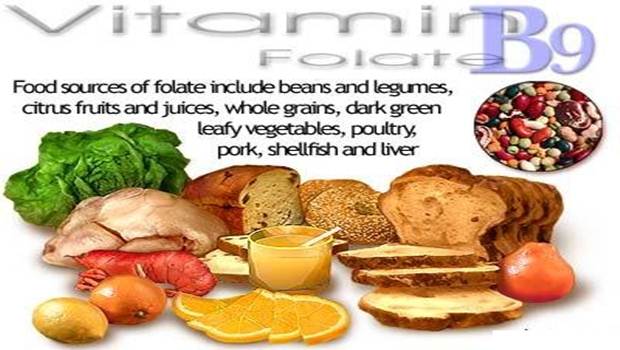 foods high in vitamin B