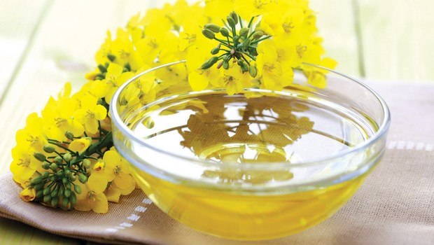 canola oil for hair-canola oil with other oils