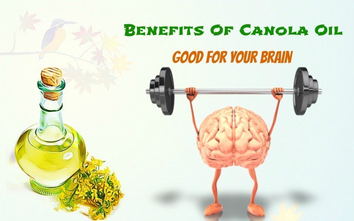 benefits of canola oil - good for your brain
