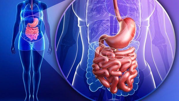 natural leaky gut syndrome