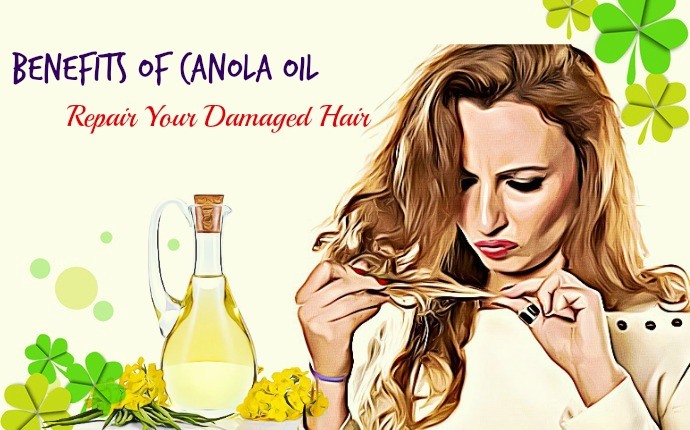 benefits of canola oil - repair your damaged hair