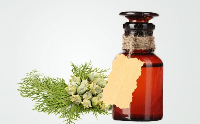 essential oils for oily skin - cypress essential oil