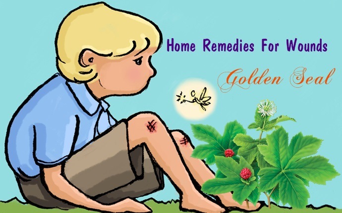 home remedies for wounds - golden seal
