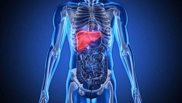 home remedies for fatty liver