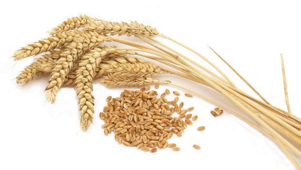 home remedies for low blood sugar-barley