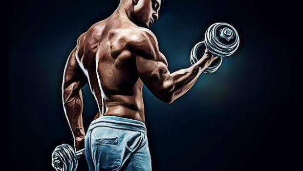 how to build arm muscle fast