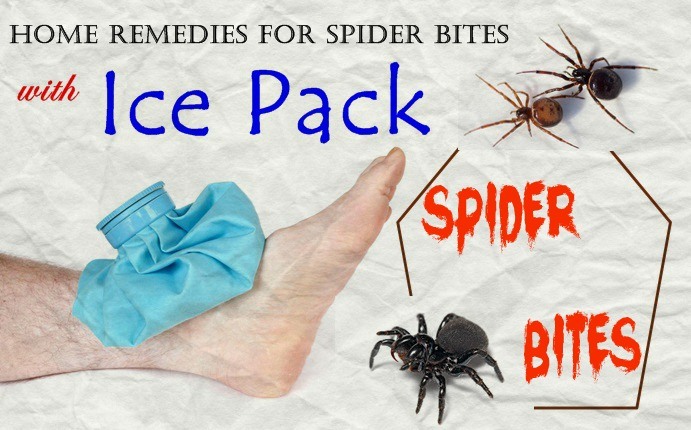 home remedies for spider bites - ice pack