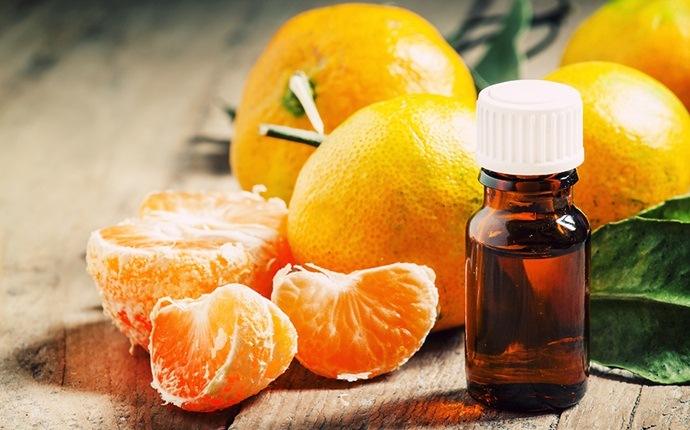 essential oils for oily skin - orange essential oil